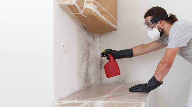 Professional Commercial Mold Remediation technician working in Reading, MA