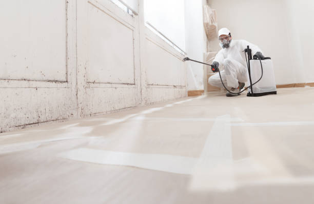 24/7 Emergency Commercial Mold Remediation experts in Reading, MA